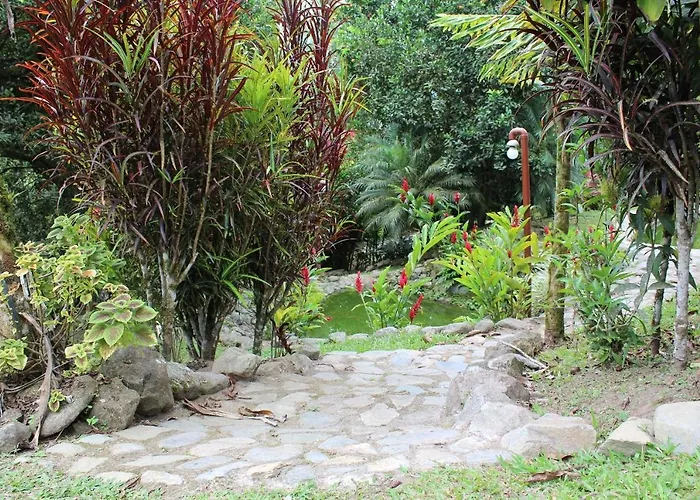Herminia\'S Farm