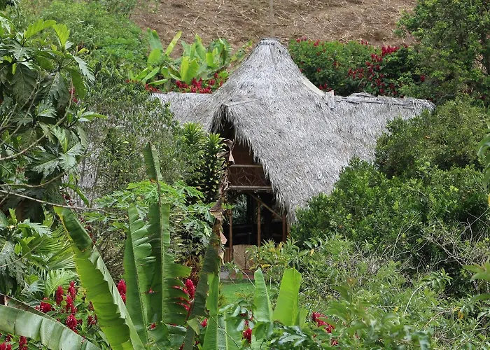Herminia\'S Farm