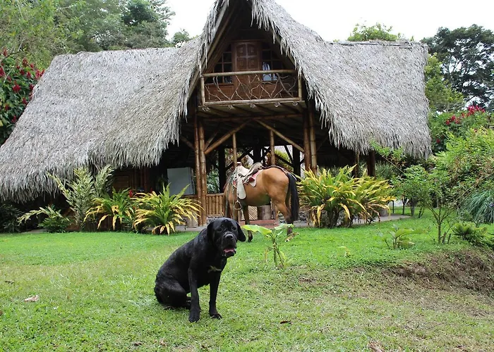 Herminia\'S Farm