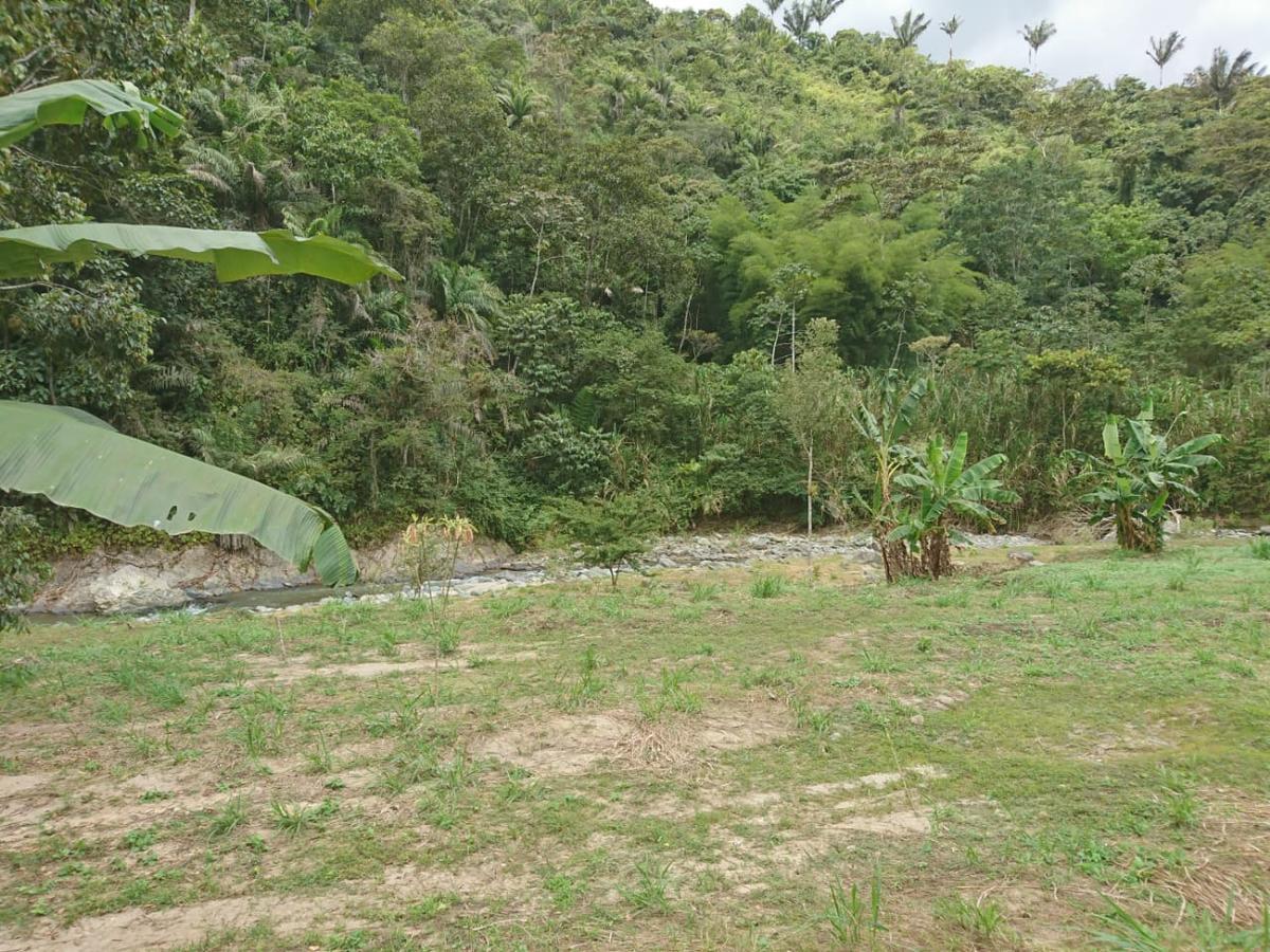 Herminia S Farm Pacto