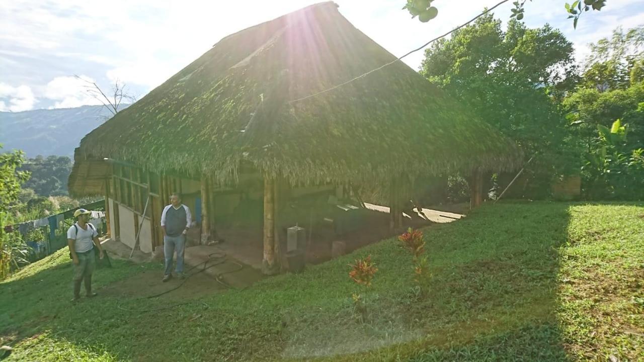 Herminia S Farm * Pacto