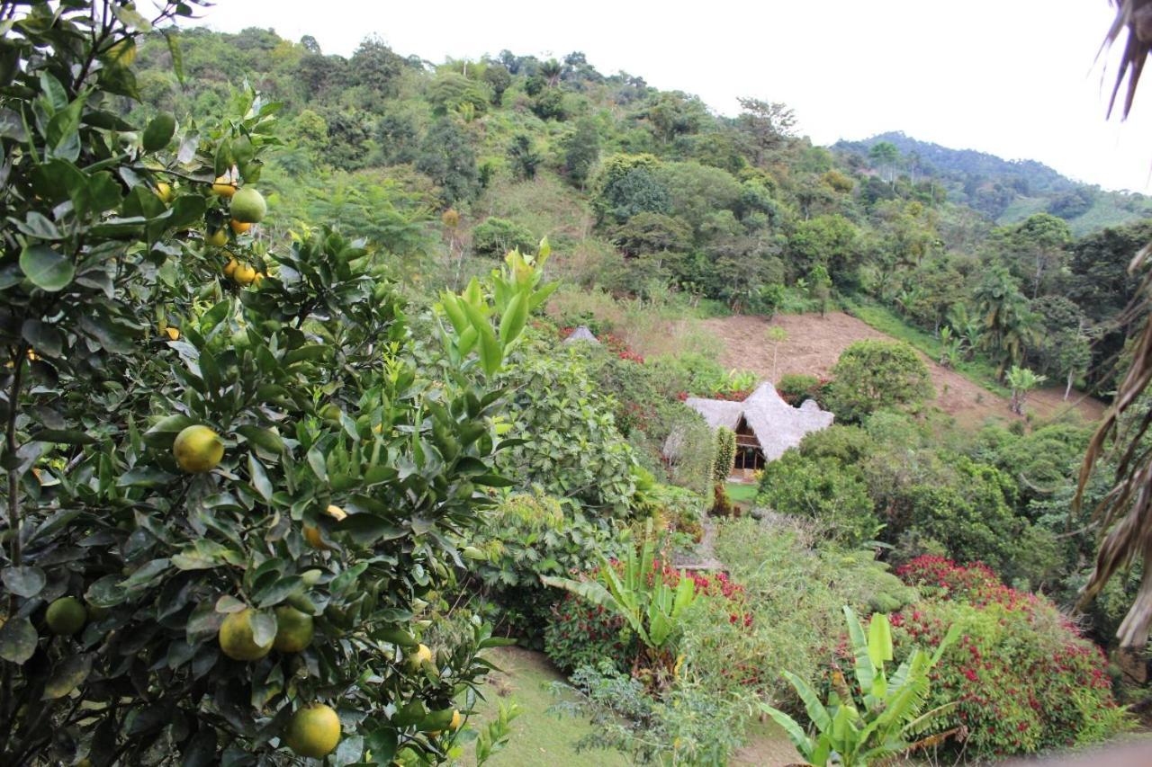 Inn Herminia S Farm *