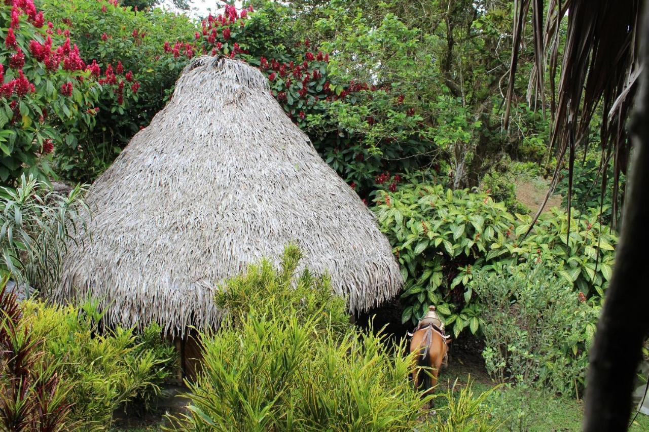 Herminia S Farm *